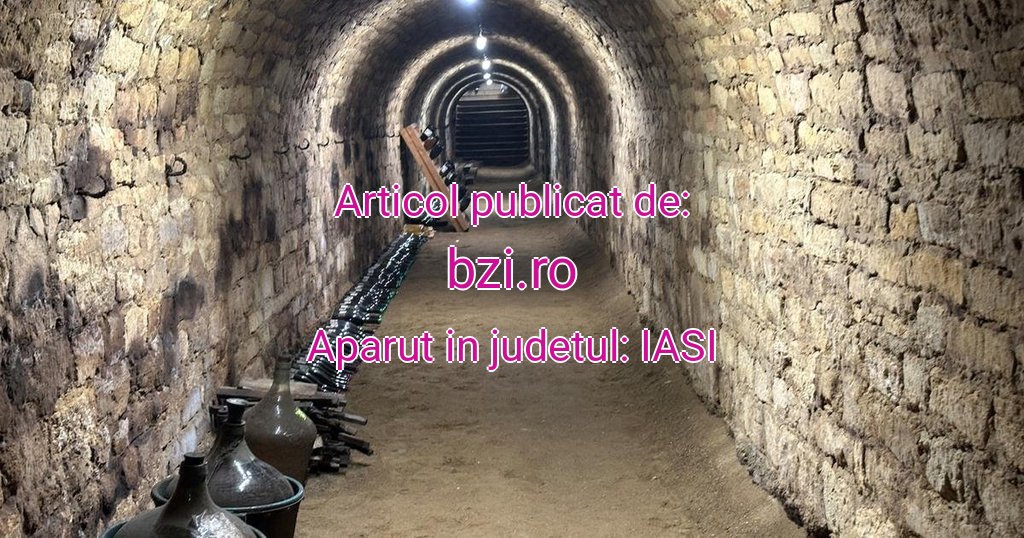 bzi.ro-Tunelul-secret-20251031060106.jpg