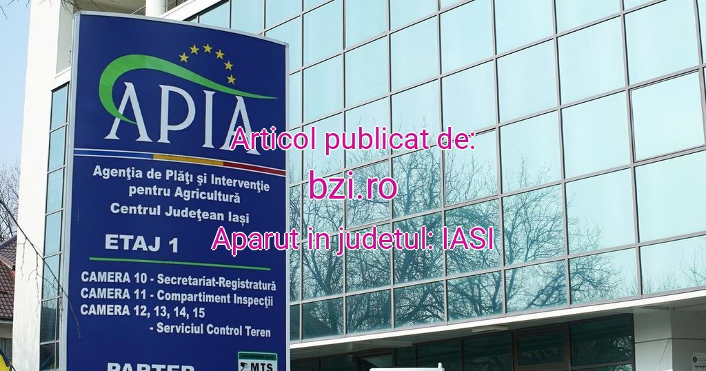 bzi.ro-sediul-APIA-Ias-20251028060059.jpg