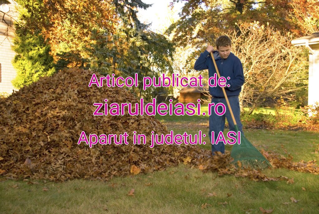 ziaruldeiasi.ro-BOMBA-Frunze-to-20251028090803.jpg