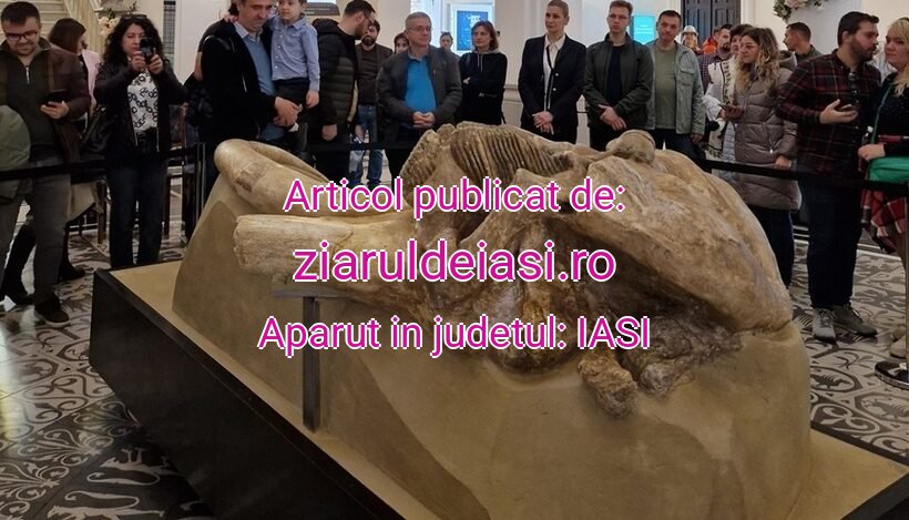 ziaruldeiasi.ro-mamut-e17617534-20251029182447.jpg